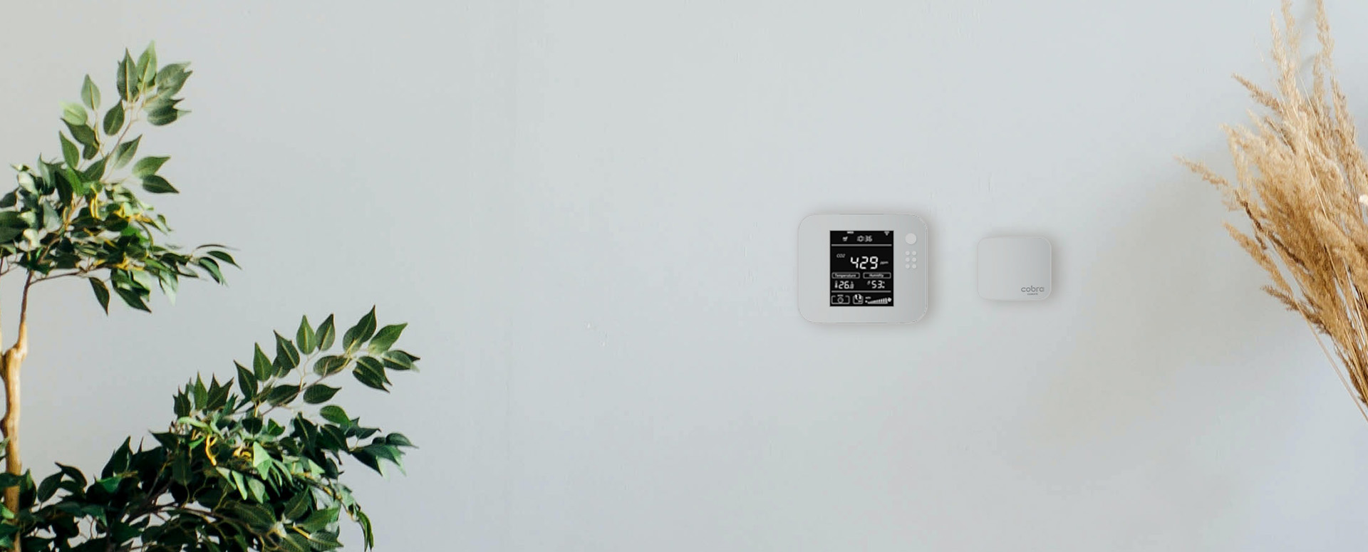 Een schermpje op de sensor, handig?